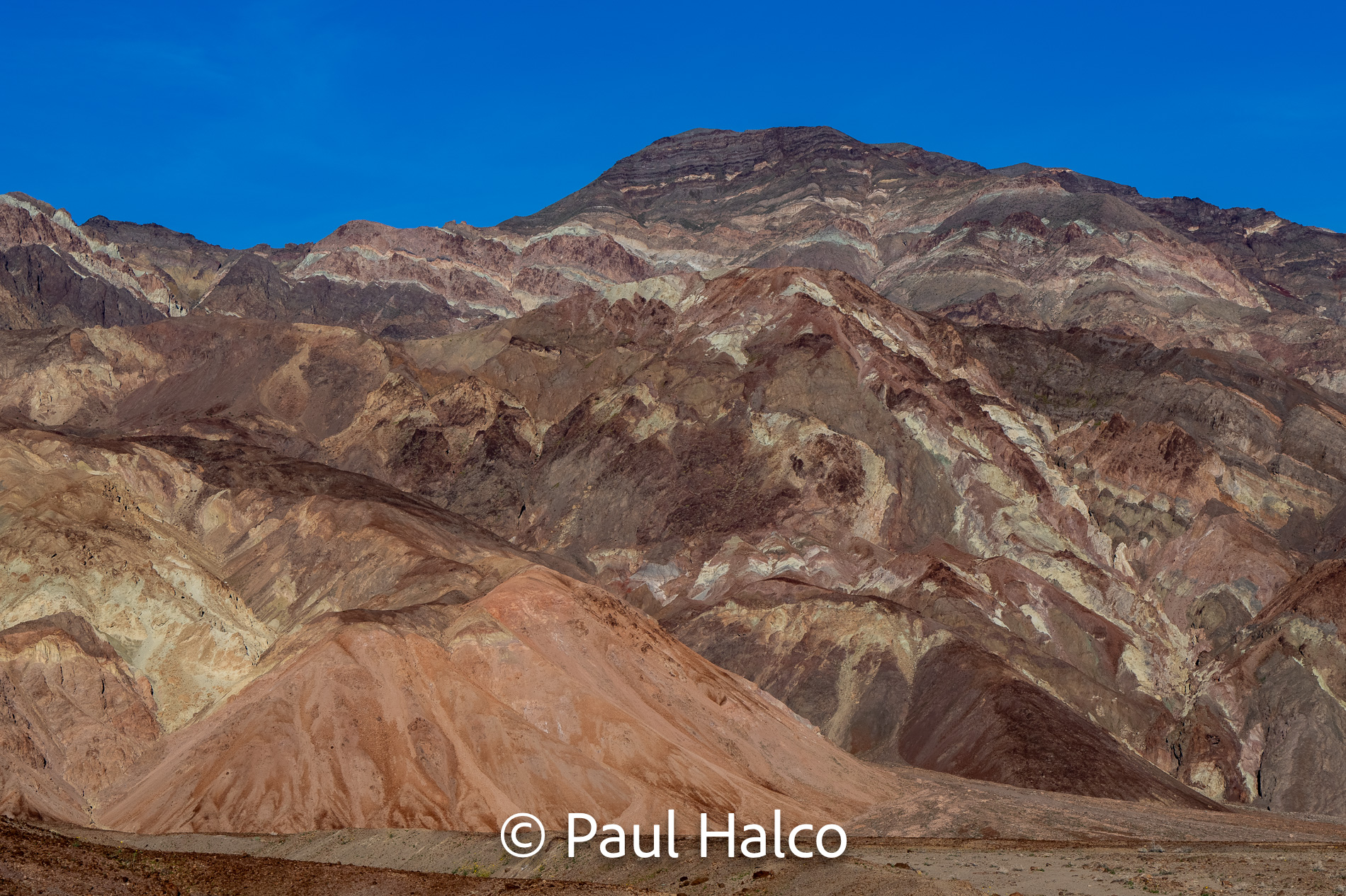 Paul Halco - Death Valley NP-16